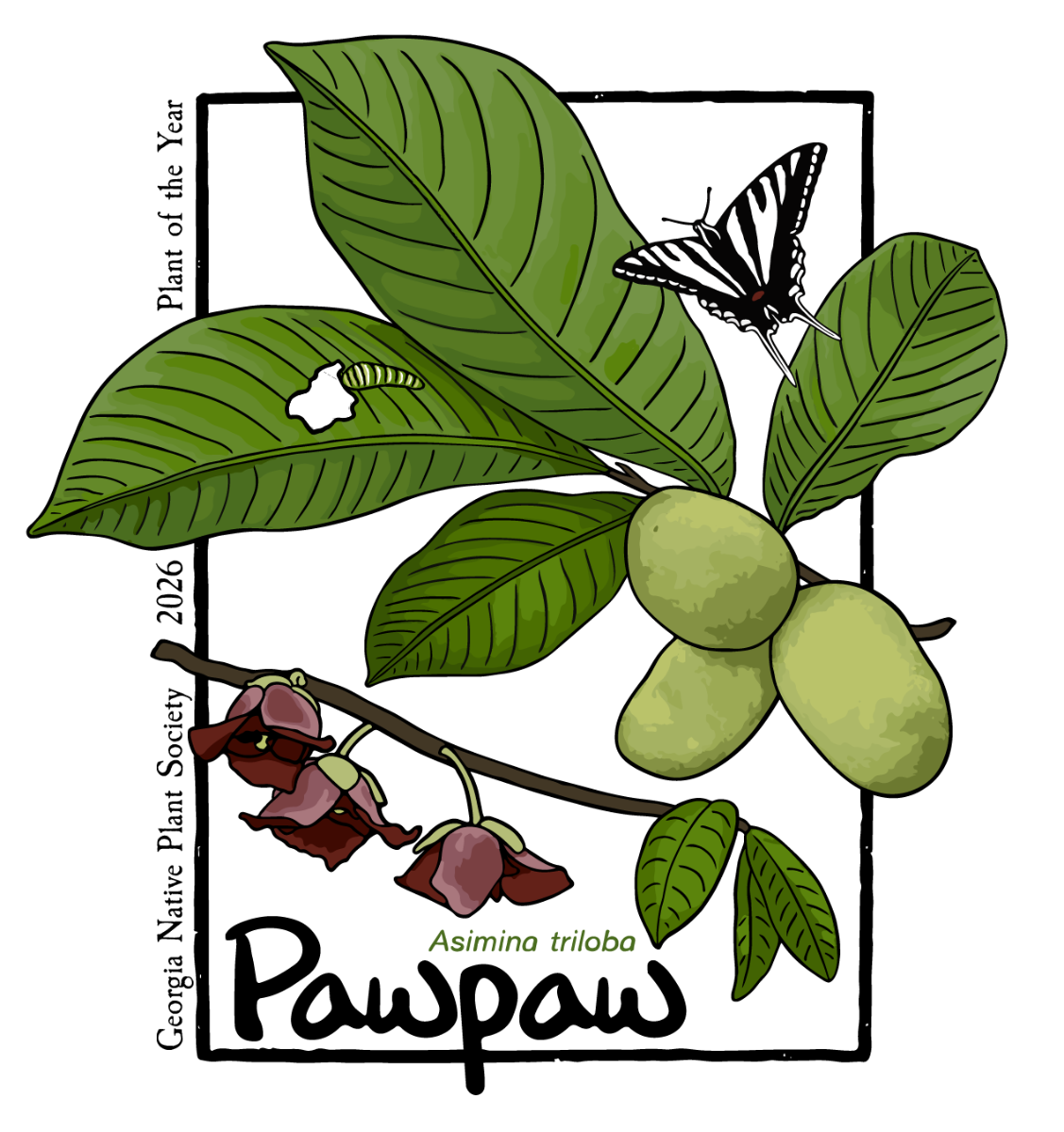 01%20Pawpaw%20POY%20front%20of%20shirt.png