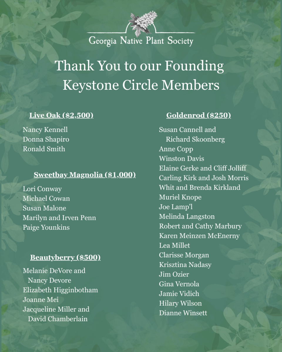 05a%20Thank%20You%20to%20our%20Founding%20Keystone%20Members%2002_25_26.png