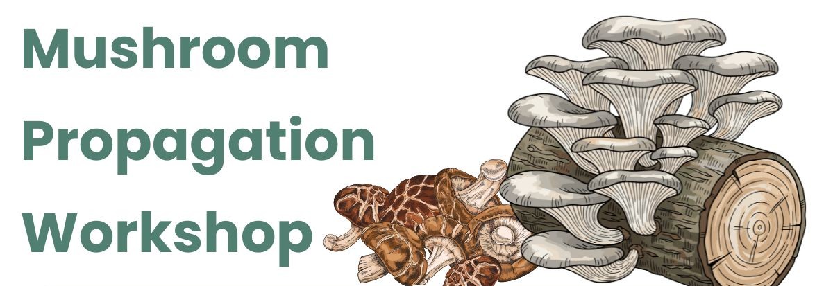 06%20FCC%20Mushroom%20graphic.jpg