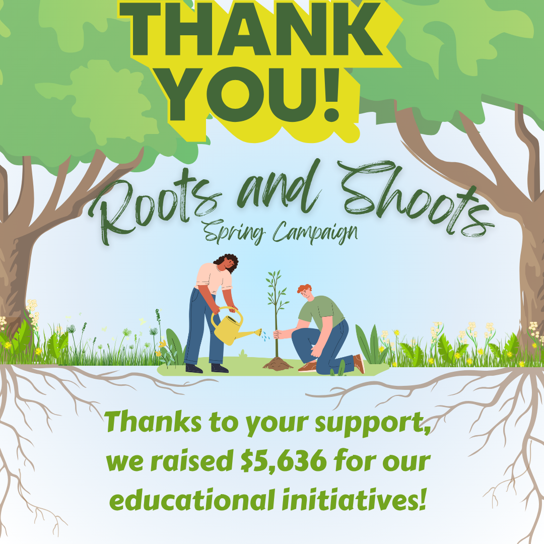 06%20Roots%20and%20Shoots%20Spring%20Campaign%202025%20TY%2007_01_25.png