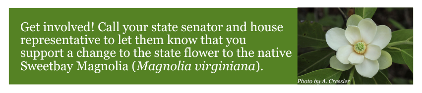 06%20State%20Flower%20Campaign%20banner%20Sep%202024%20NativeScape.png