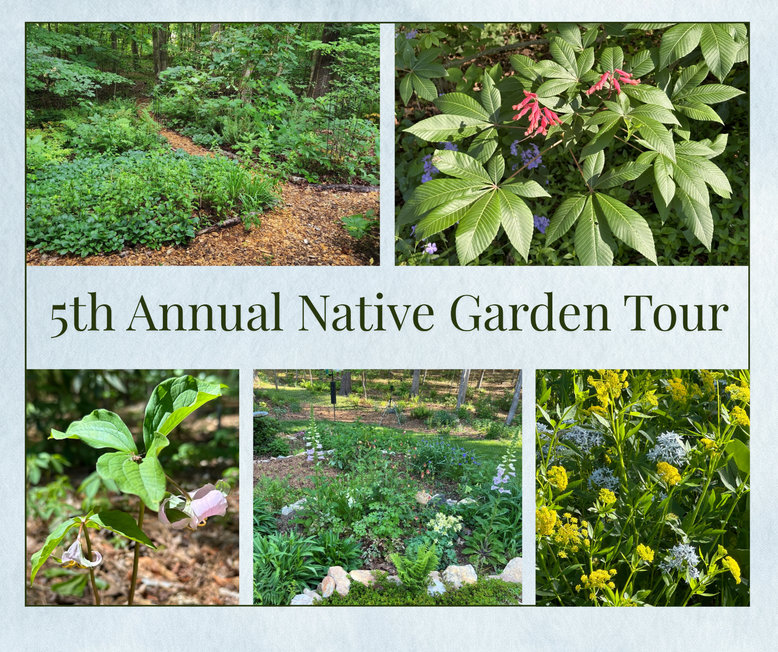 08%20Native%20Habitat%20Garden%20Tour%20(Facebook%20Post).png