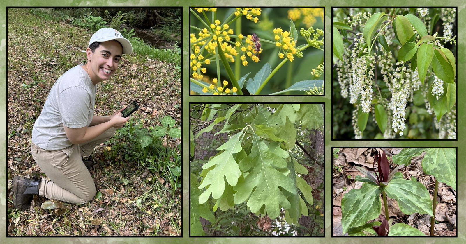 09%20Biodiversity%20in%20the%20Preserve%20A%20Community%20Science%20Walk.png