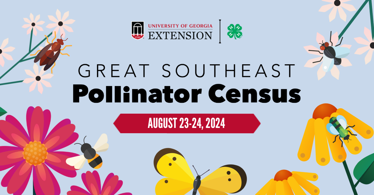 Copy%20of%20Pollinator%20Census%20Facebook%20Post%20(2).png