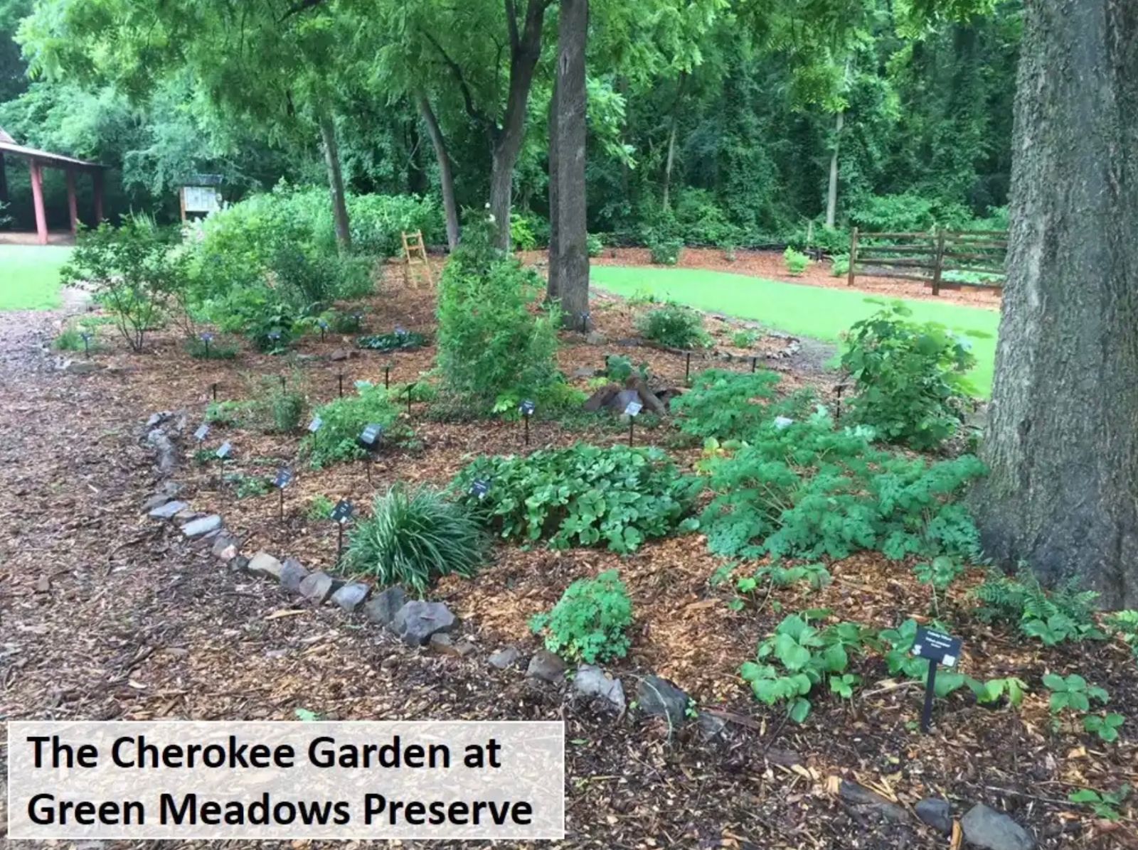The Cherokee Garden at Green Meadows Preserve