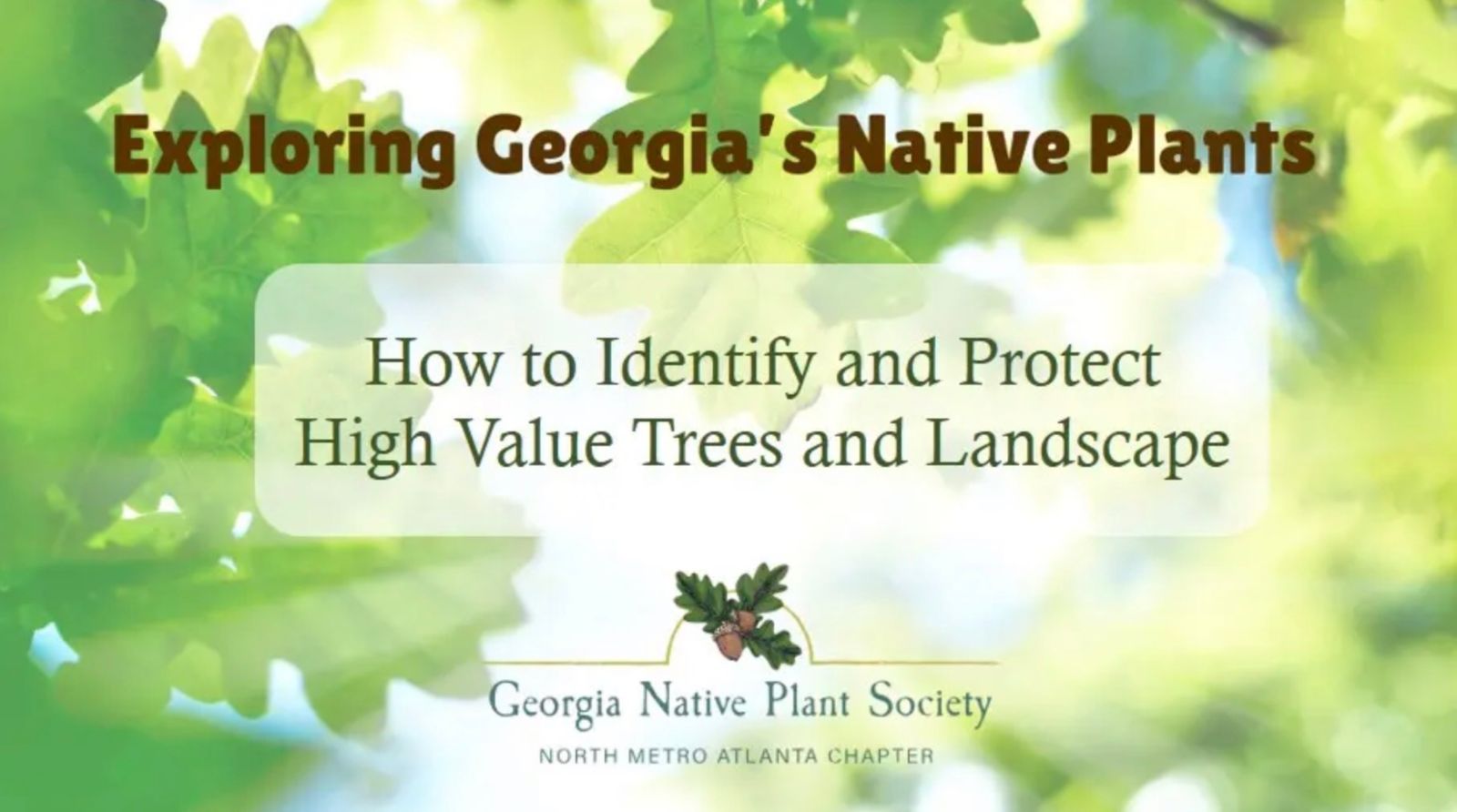 How to Identify and Protect High Value Trees and Landscapes