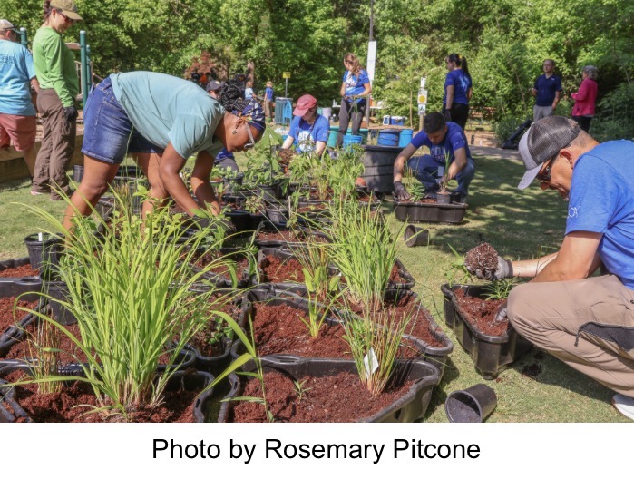 Volunteers building trash trap