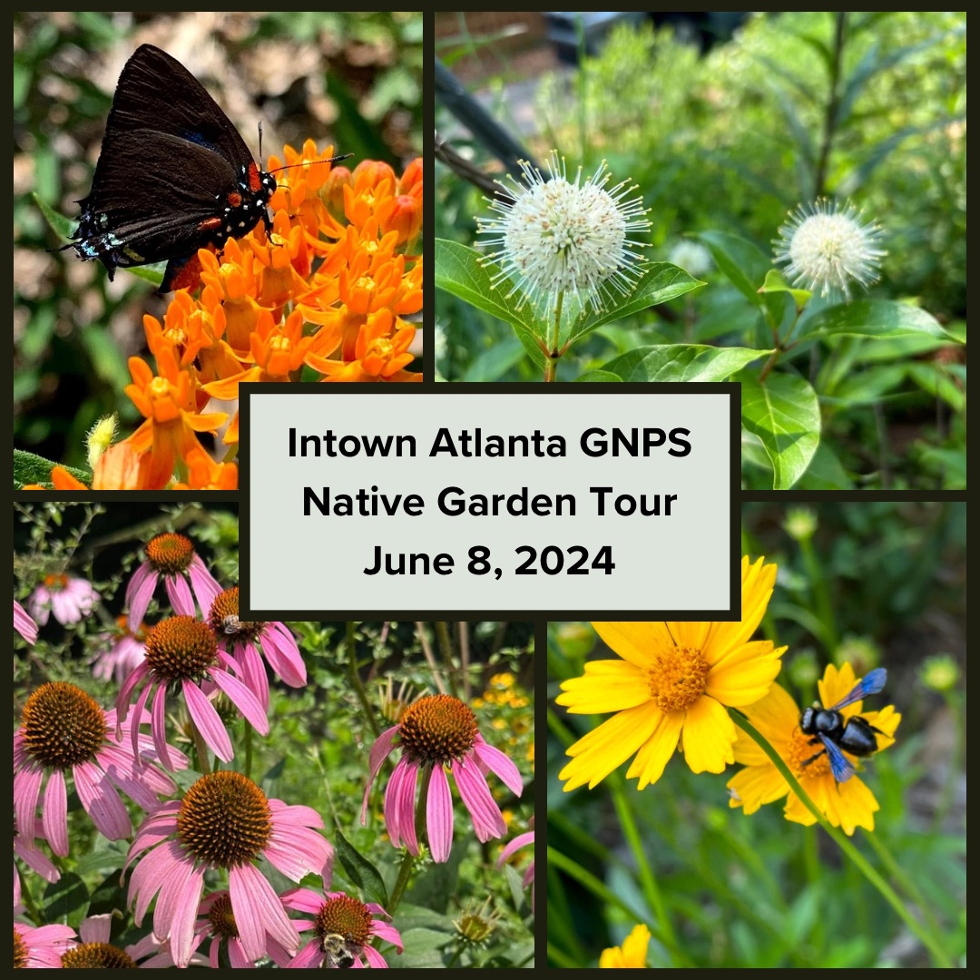 Intown%20Atlanta%20Tour%202024.jpg