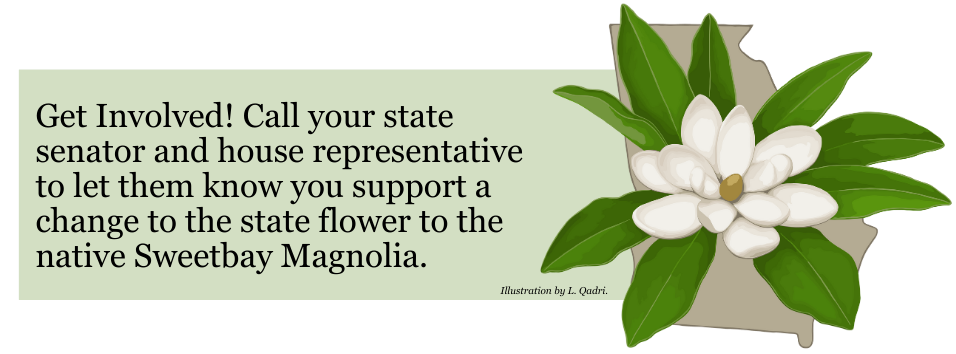 State-Flower-call-to-action-banner-2026.png