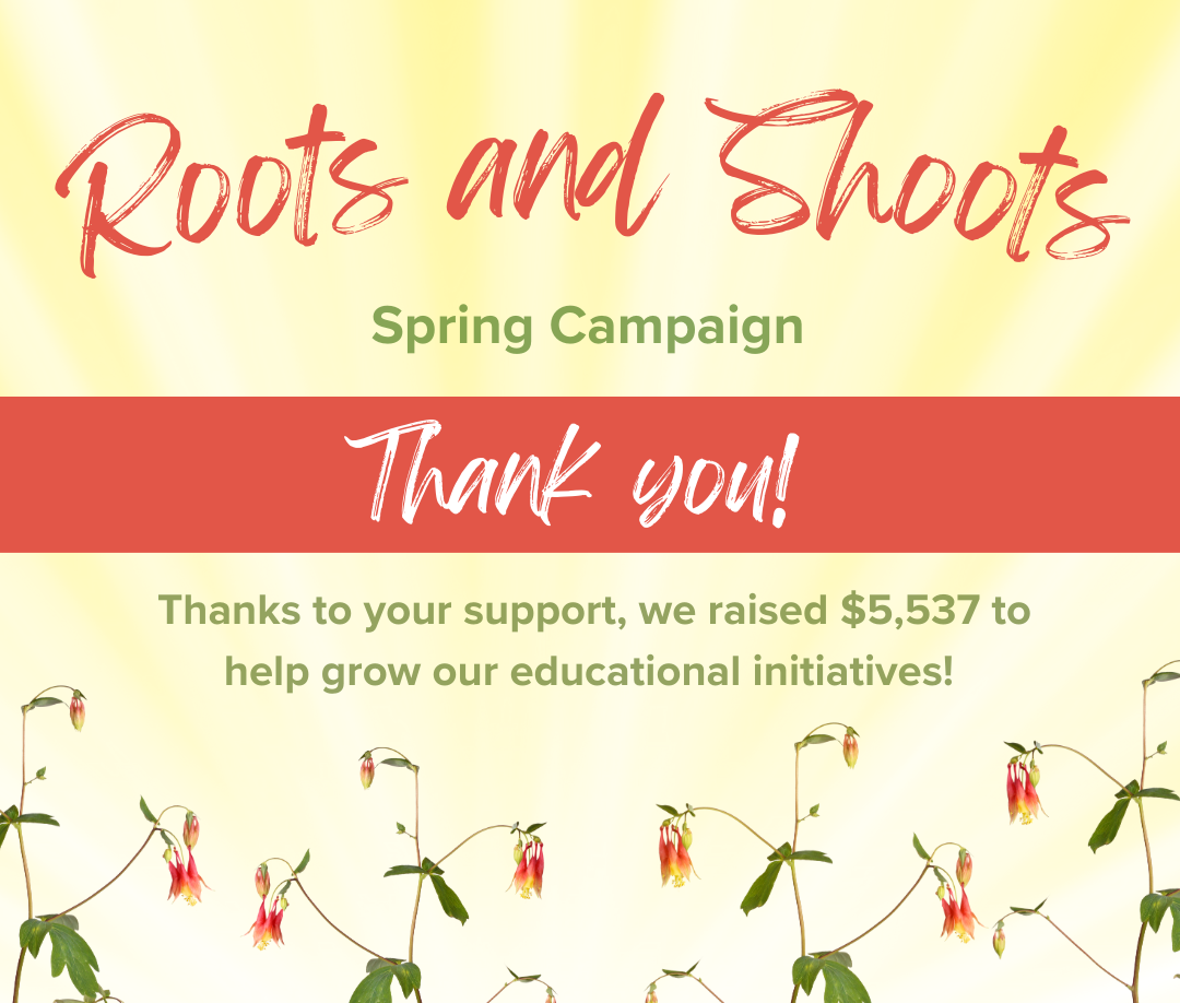 Thank%20You%20Roots%20and%20Shoots%20Spring%20Campaign%20crp.png